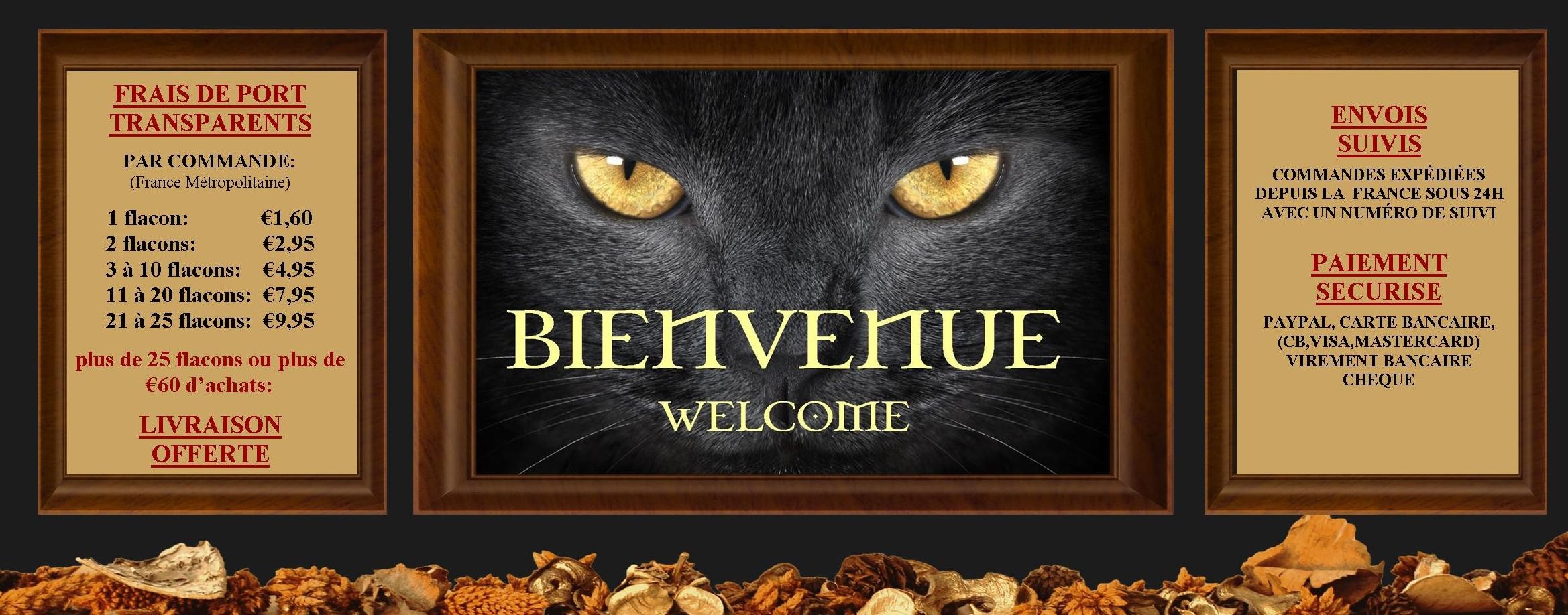 Le Chat Sorcier Bienvenue